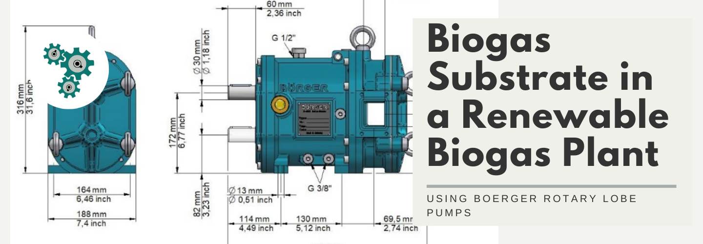 Positive displacement pumps Boerger Rotary Lobe Pump for pumping biogas substrate from a fermenter to a secondary fermenter Ireland (1)