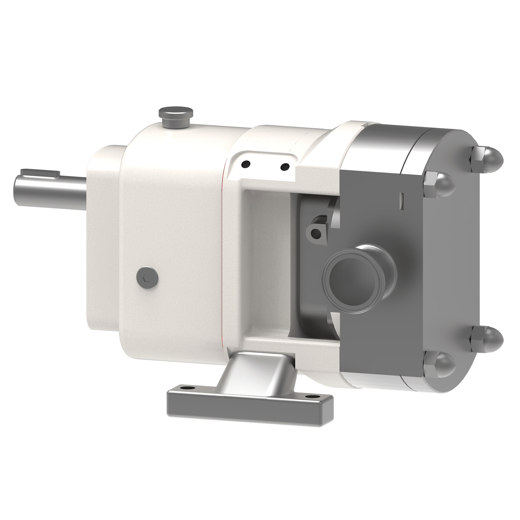 Viking Pump Hygienic Classic+ Multipump - Front view of a rotary lobe pump with Tri-Clamp connections for food, pharma, and chemical applications